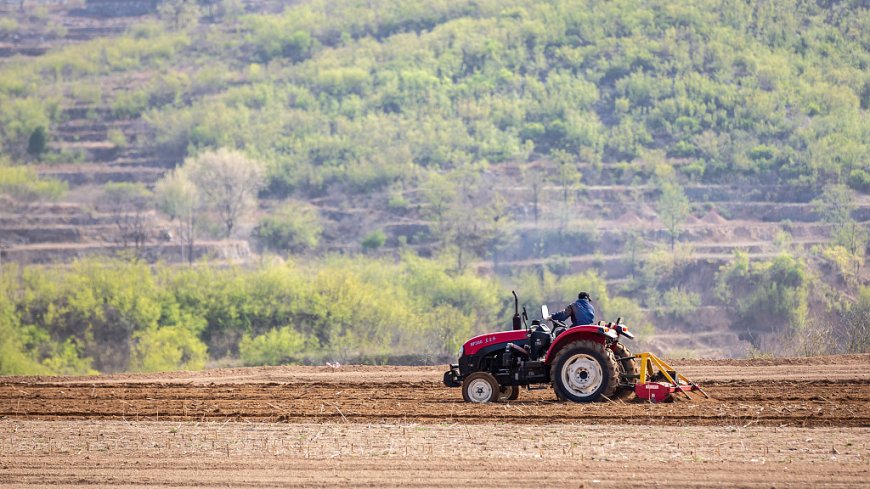 China desarrolla tierras de cultivo de alto nivel