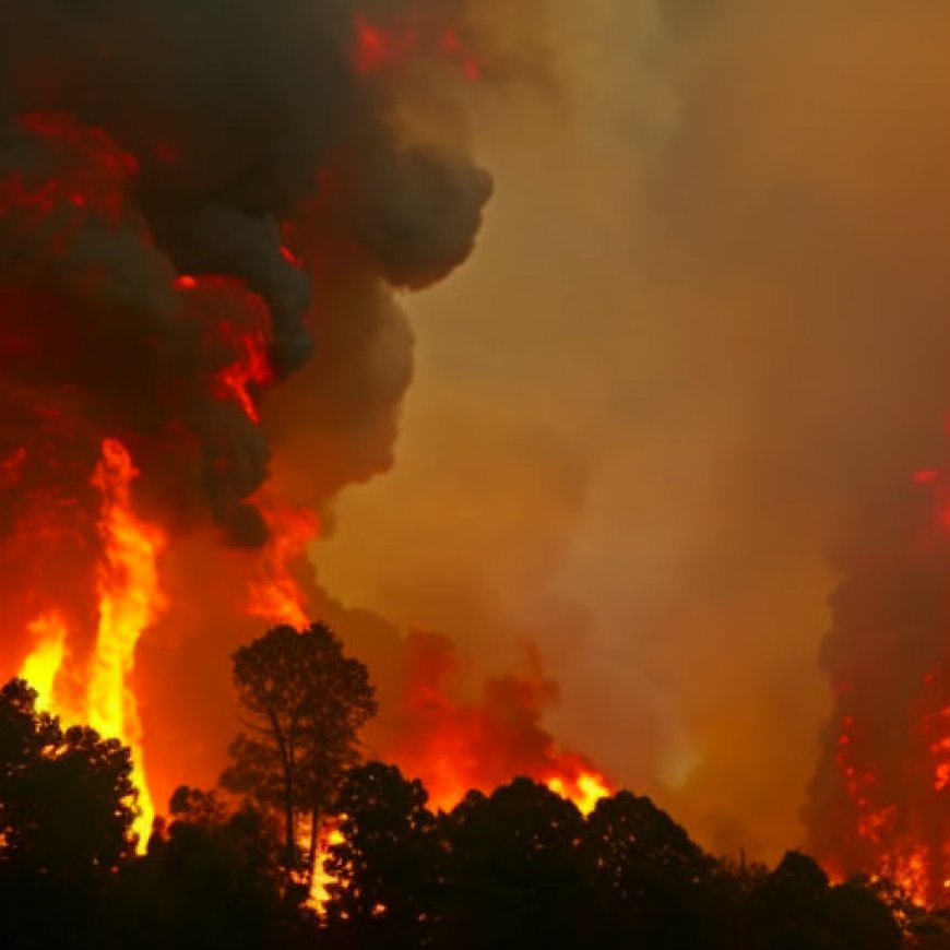 Forest fires to rise significantly in Odisha by 2030 due to climate change: Report