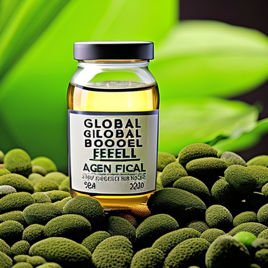 Global Algae Biofuel Industry Research 2024: An $18.84 Billion Market by 2033 Featuring Prominent Players – Algenol Biofuels, AlgaEnergy, Viridos, Cellana, and Euglena