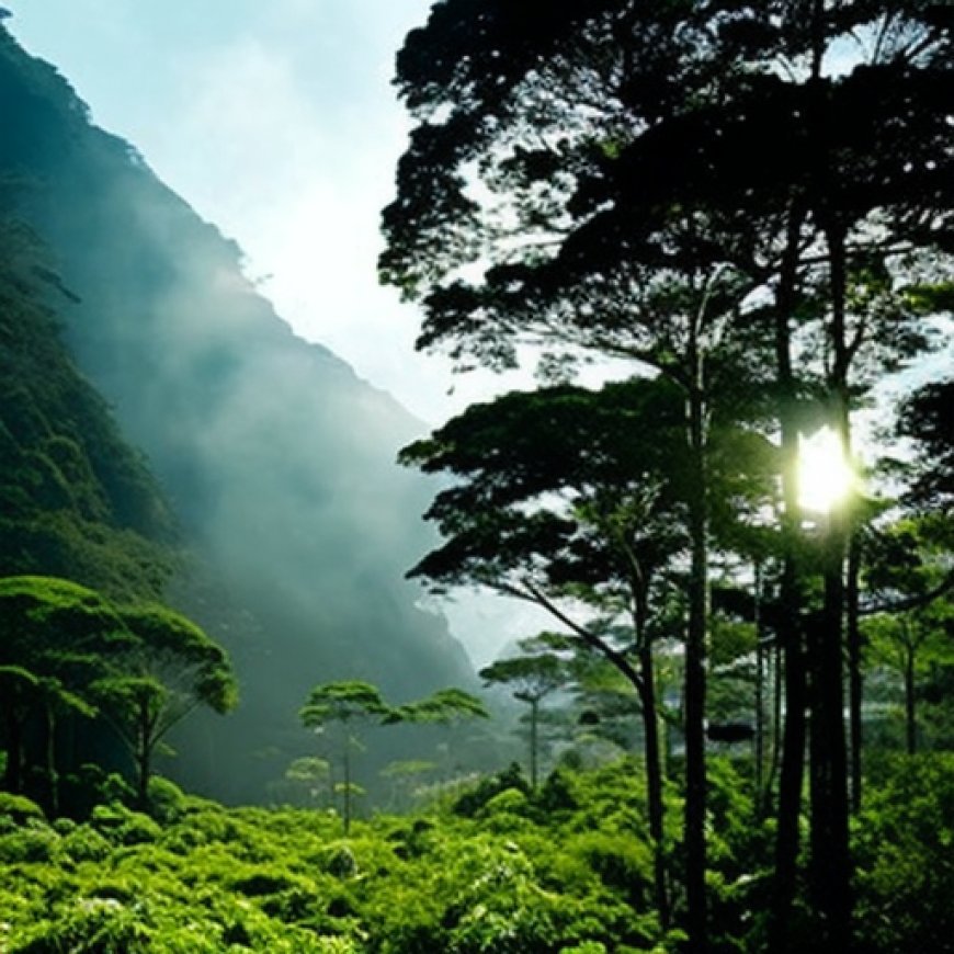 Cambio climático: Brasil y Colombia reducen drásticamente sus niveles de deforestación – BBC News Mundo