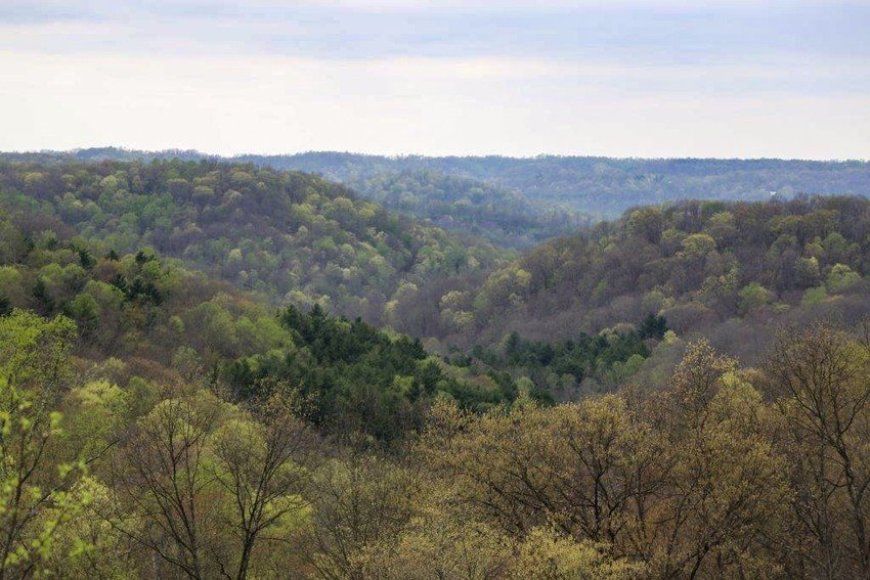 Federal Plan Would Open Ohio’s Only National Forest to Fracking
