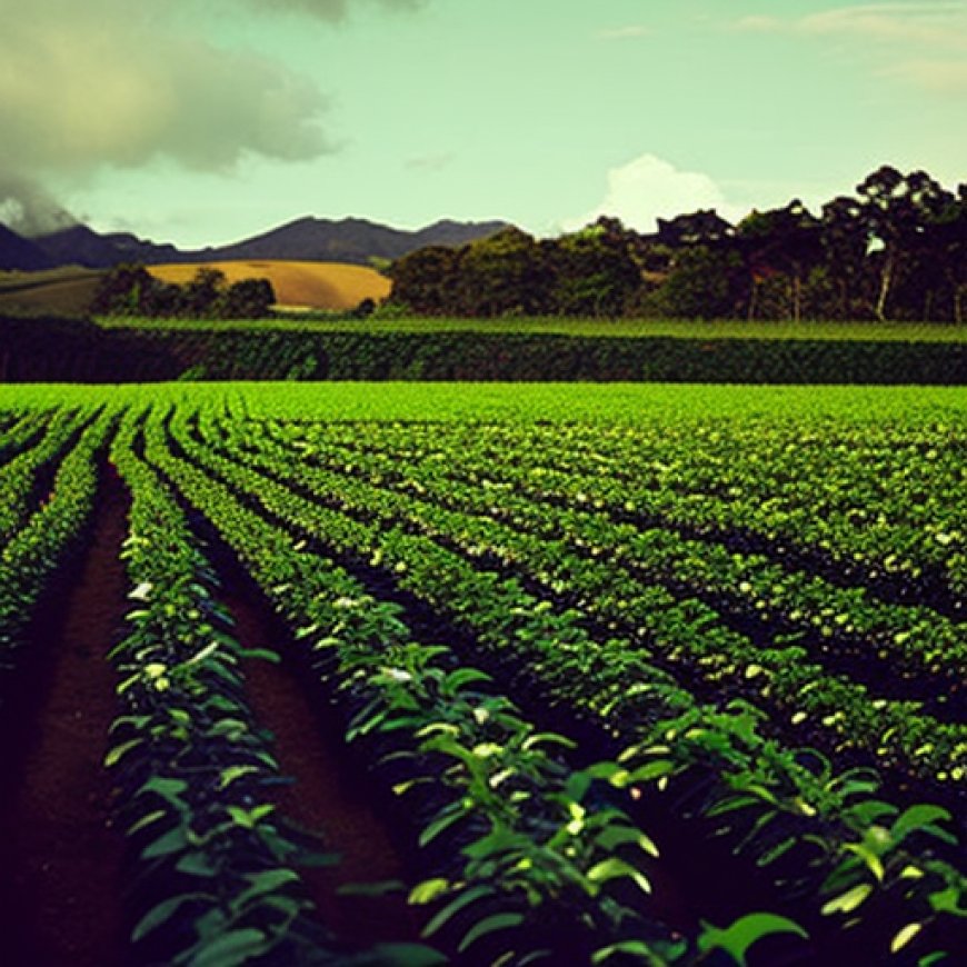 Soberanía alimentaria y semillas: el papel de Paramérica SA en la nueva agricultura – Reporte Asia