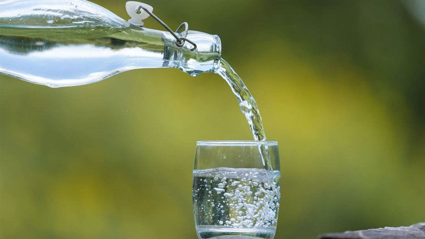Agua carbonatada: ¿una alternativa saludable a las bebidas azucaradas? – THE FOOD TECH – Medio de noticias líder en la Industria de Alimentos y Bebidas