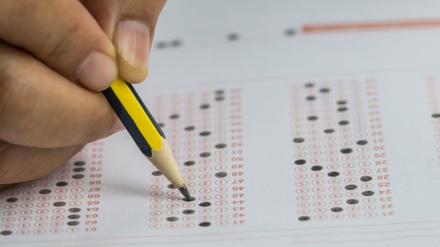 Middle-of-year reading assessment shows continued growth for early grades in North Carolina