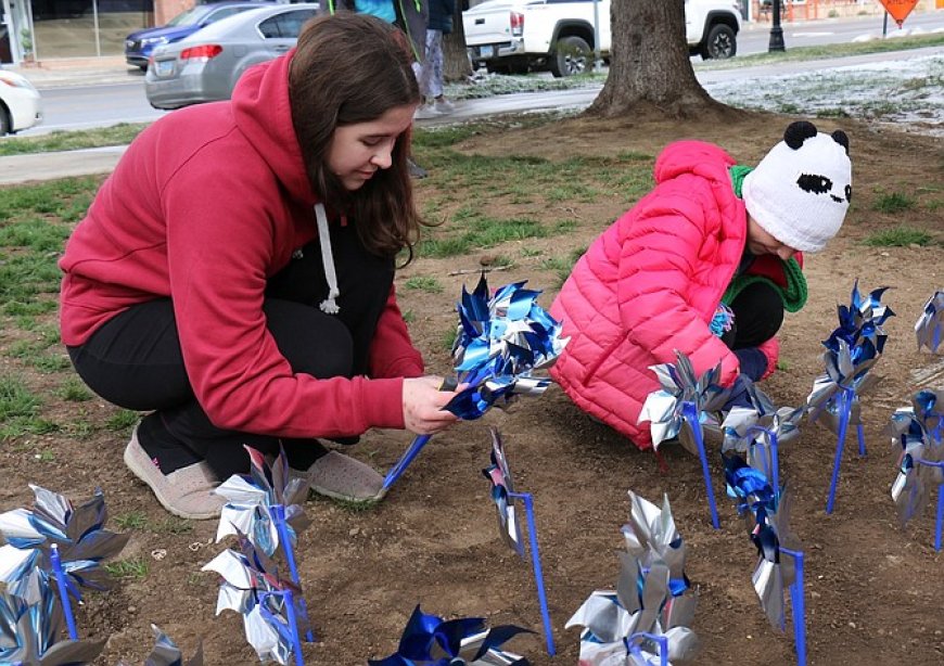 Pinwheels planted in fight against child abuse