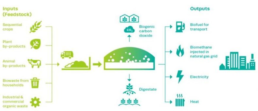 Renewables Roadshow: learn about anaerobic digestion
