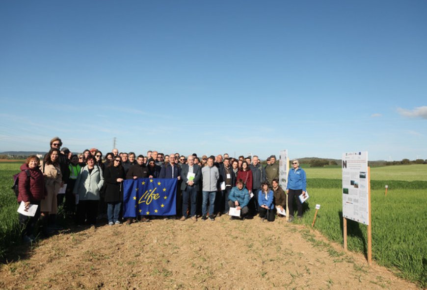 Aierdi visita un ensayo que investiga el efecto positivo de la fertilización orgánica en suelos agrícolas