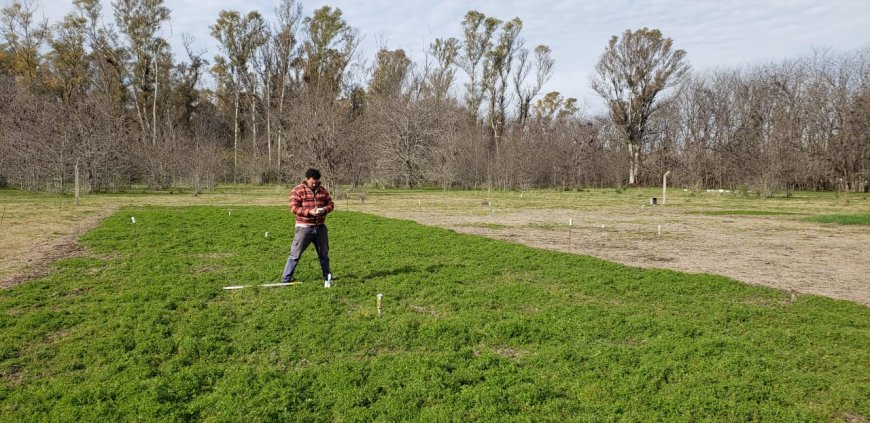 La CNEA colabora con un programa del ARCAL para mejorar la productividad agrícola en la región