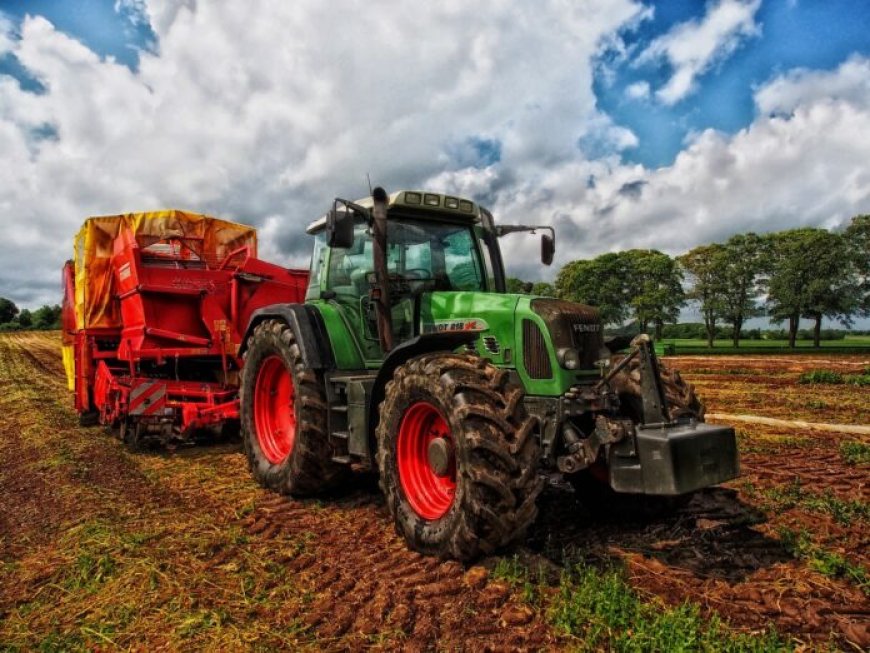 Cómo Implementar Prácticas de Agricultura Sostenible en tu Granja