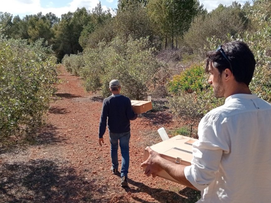 IbizaPreservation lanza un nuevo proyecto para capturar serpientes en suelo agrícola