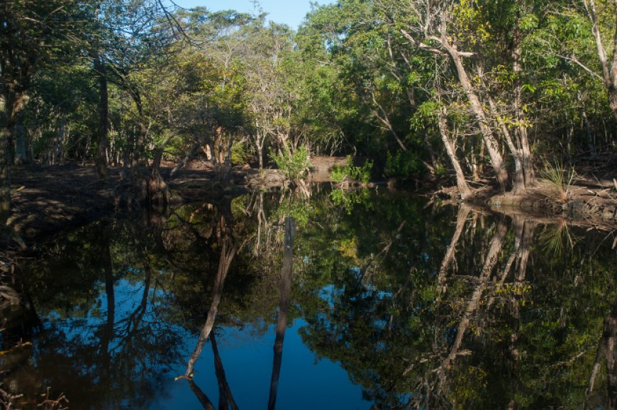 Camagüey sobresale en sostenibilidad y protección de su biodiversidad