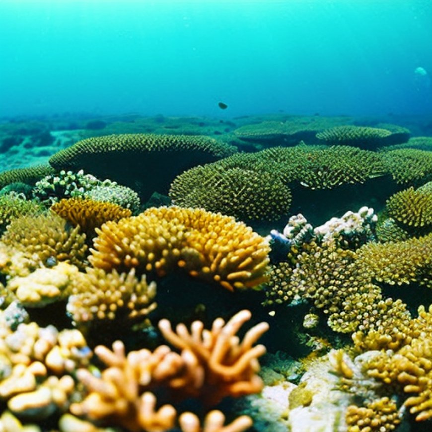 Corales en Australia sufren peor evento de blanqueamiento masivo – Noticias Prensa Latina
