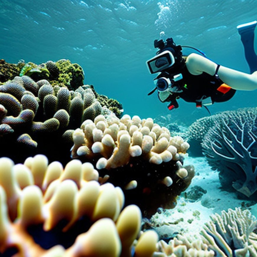 Guest Article: Fourth Global Bleaching Event Threatens Corals Worldwide | SDG Knowledge Hub | IISD