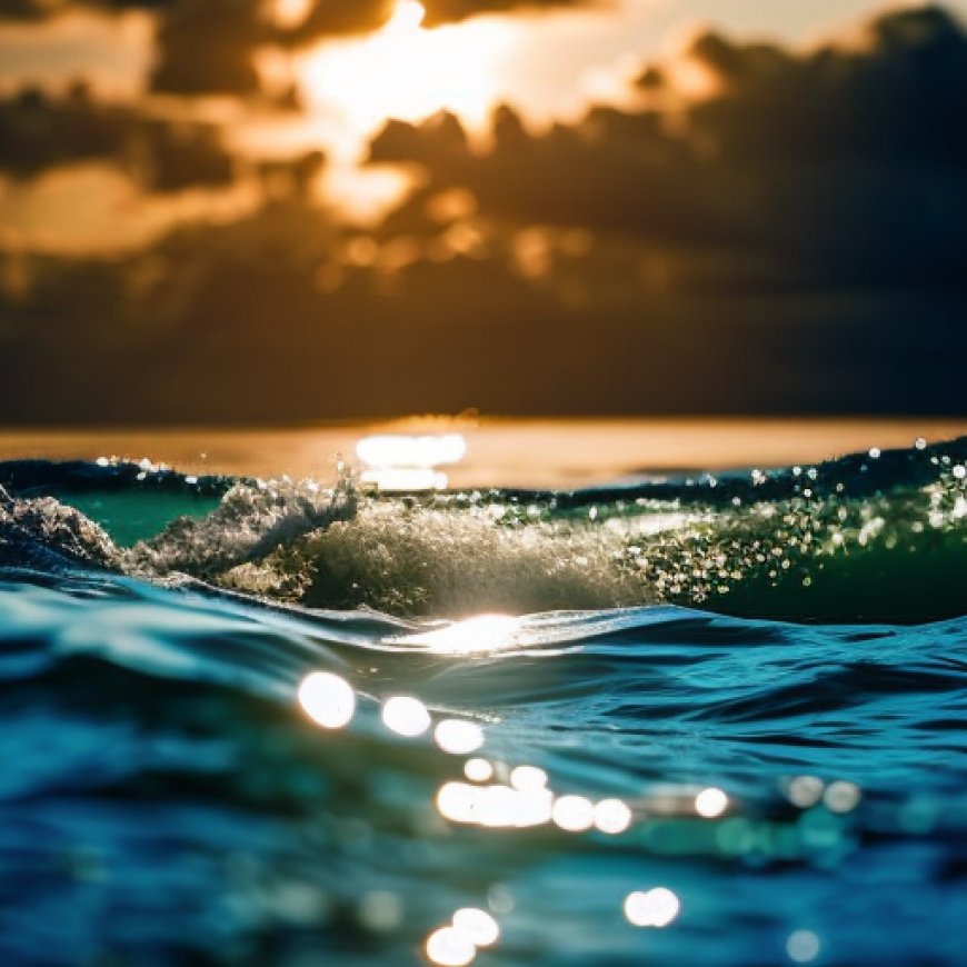 Investigadores de Ingeniería UV se adjudican proyecto “SWAM: Mar, olas y ecosistemas: modelos estocásticos para ambientes marinos perturbados”