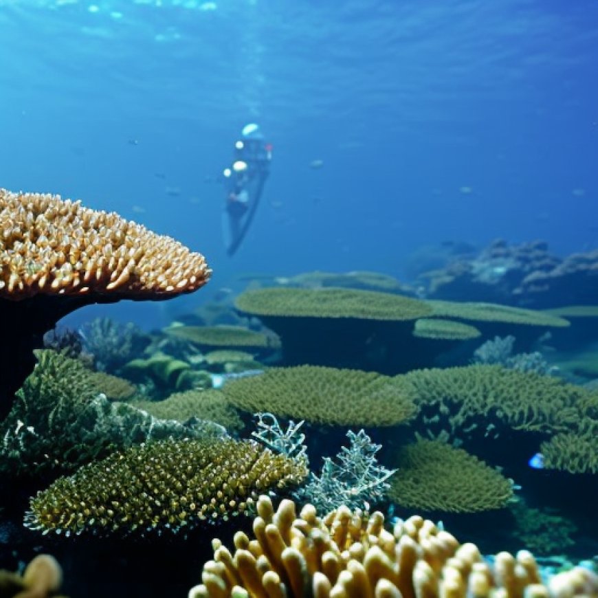 Corals Are Once Again Bleaching En Masse, but Their Fate Isn’t Sealed