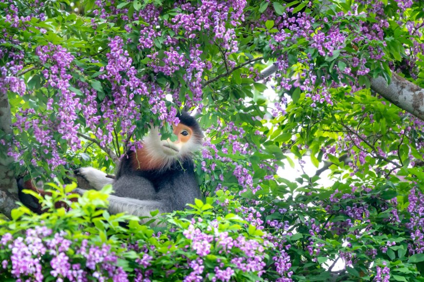 Así influye el cambio climático en la pérdida de biodiversidad