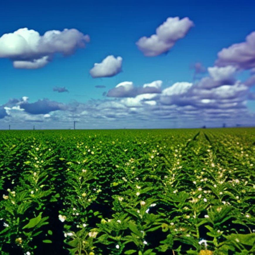 Calcular el espacio cultivable en plantas fotovoltaicas para combinar producción agrícola y fotovoltaica