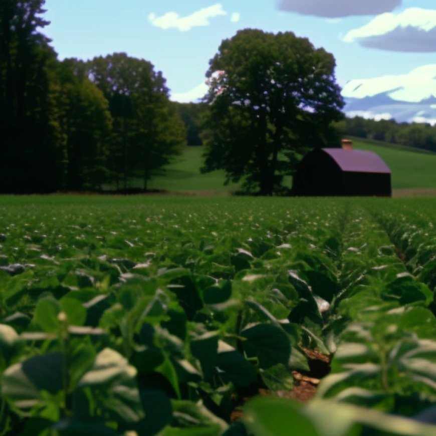 Northern NY Farm Research Program Receives $300,000 in State Funding