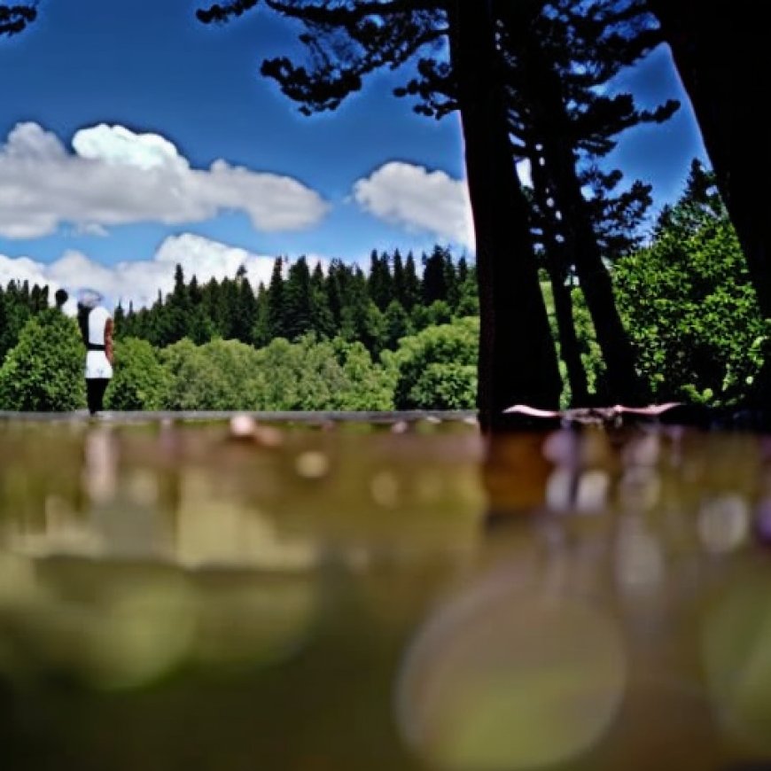 Un punto aislado en el Bosque Nacional Ángeles fue escenario de agresiones sexuales contra dos mujeres, según las autoridades | Video | CNN