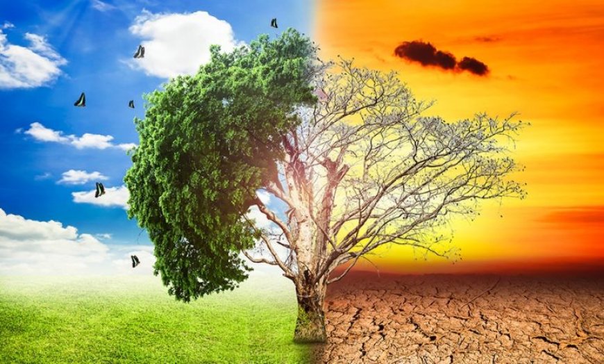 Human-Induced Global Warming Is Increasing At 0.26°C Per Decade, The Highest Rate Since Records Began – Indian PSU | Public Sector Undertaking News