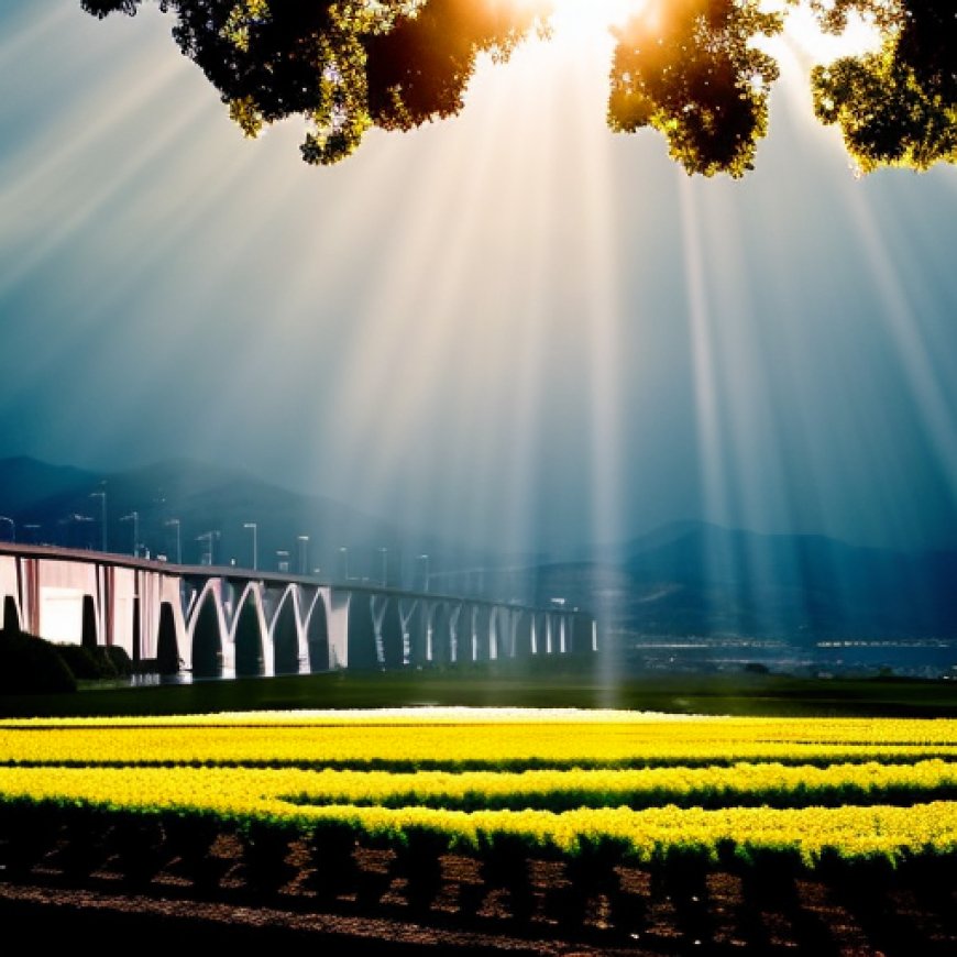 A los agricultores del Valle Central les gusta Donald Trump en lo que respecta al agua. En cuanto a Kamala Harris de California, no tanto