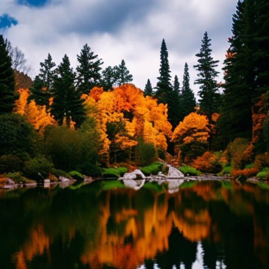 En otoño se detiene el tiempo en el bosque encantado del Bellagio